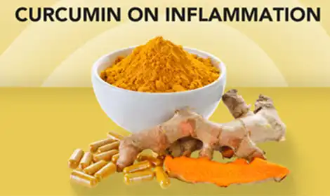 The Anti-Inflammatory Power of Turmeric Extract Curcumin